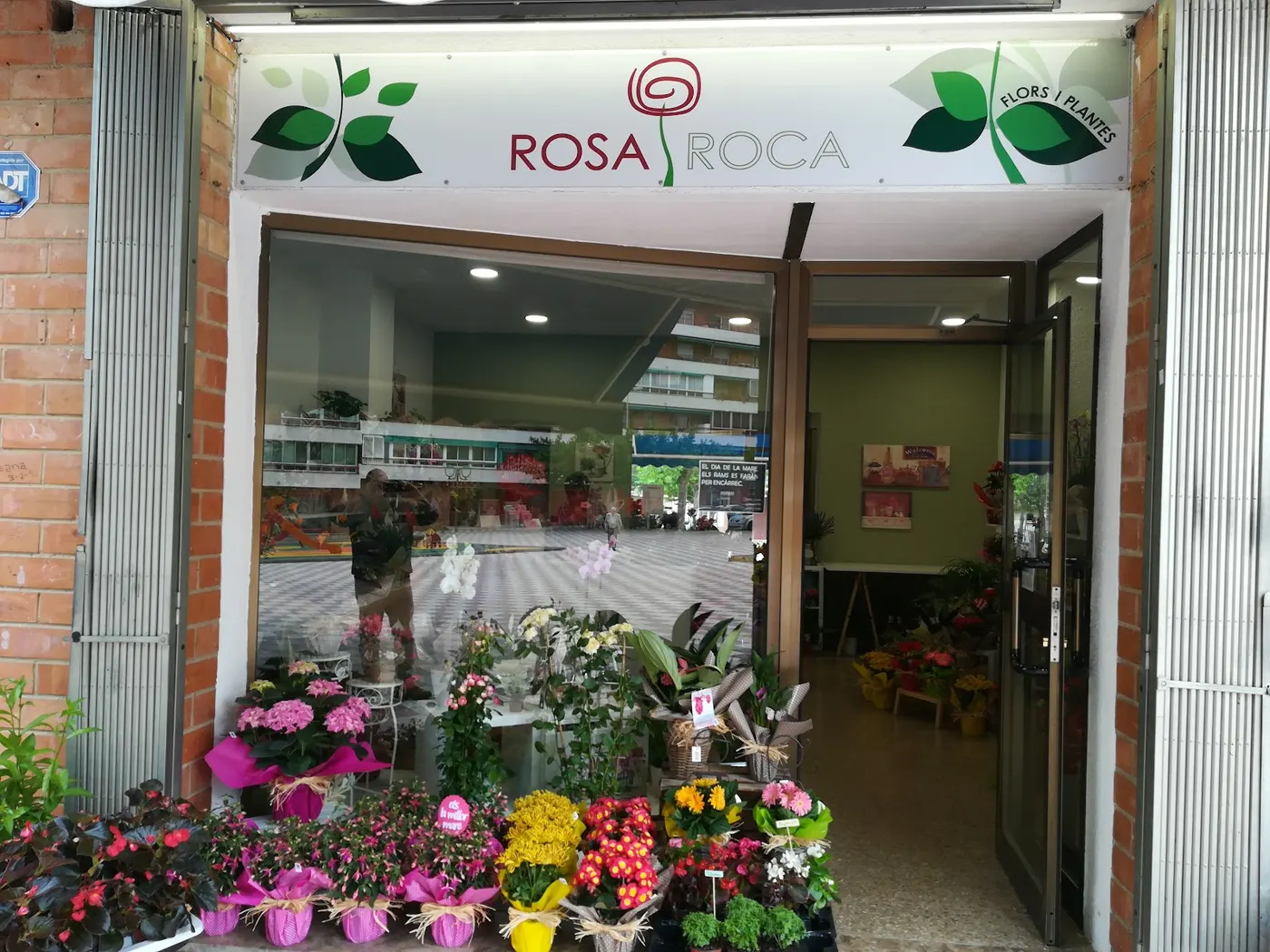 Floristeria Rosa Roca Flors i Plantes