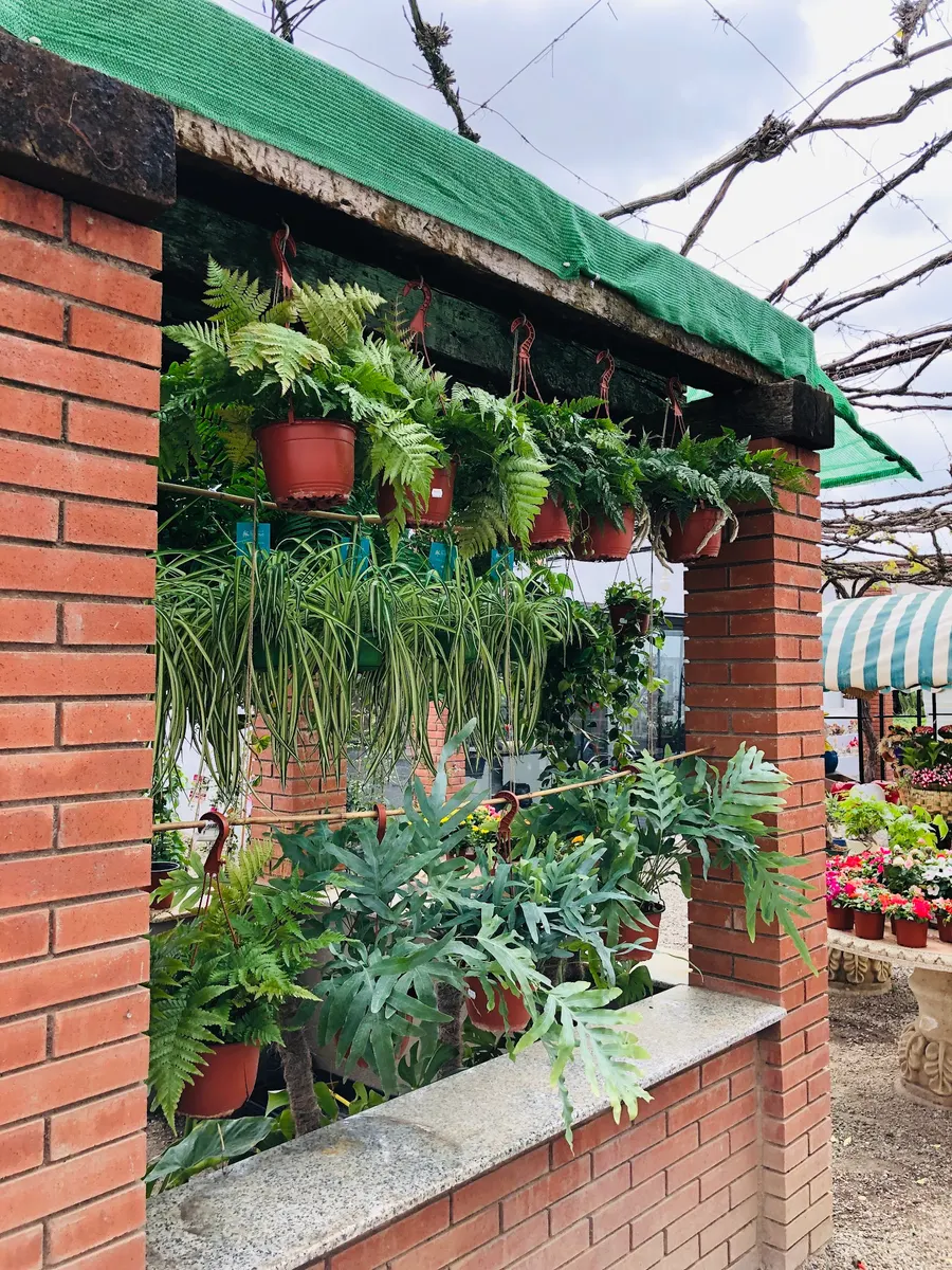 Garden Masia Vallense / Masia Vallense studio Floral